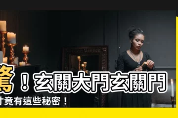 【玄關大門玄關門尺寸】驚！玄關大門玄關門尺寸竟有這些秘密！