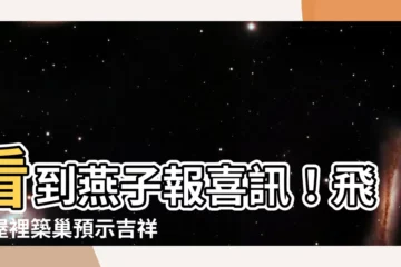 【看到燕子】看到燕子報喜訊！飛進屋裡築巢預示吉祥好運