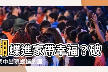 【蝴蝶進家裏】蝴蝶進家帶幸福？破解家中出現蝴蝶的風水涵義