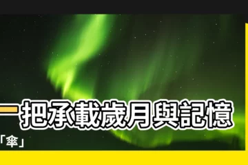 【傘字】一把承載歲月與記憶的「傘」