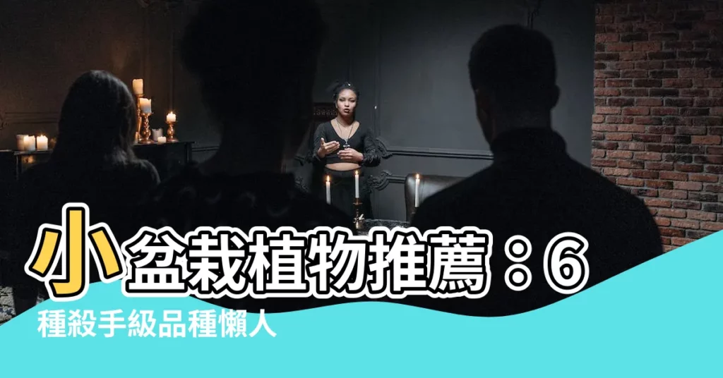 【小盆栽植物推薦】小盆栽植物推薦：6 種殺手級品種懶人也能輕鬆種