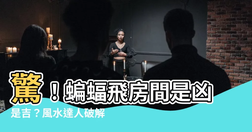 【蝙蝠飛到房間】驚！蝙蝠飛房間是兇是吉？風水達人破解徵兆