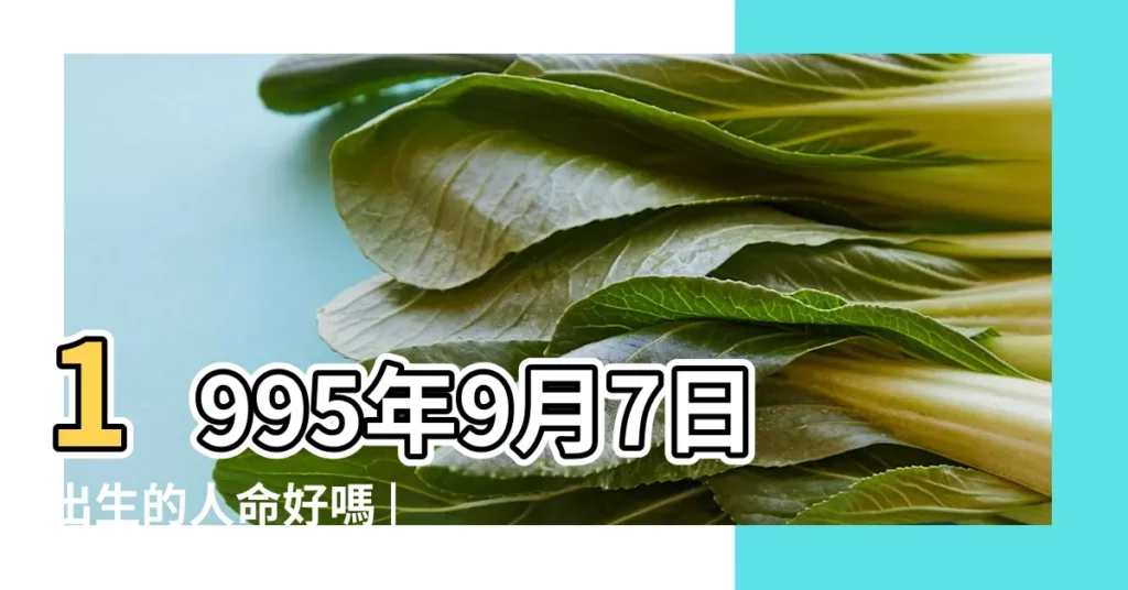 1995年9月7日出生的人命好嗎 |1995年9月7日出生的人是什麼命 |1995年9月7日出生的人生辰八字測算 |【1995年9月7日什麼命】