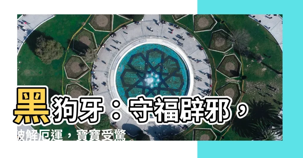 【黑狗牙】黑狗牙：守福辟邪，破解厄運，寶寶受驚嚇戴什麼？