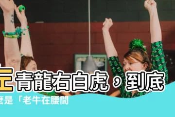 【左青龍 右白虎 老牛】左青龍右白虎，到底什麼是「老牛在腰間」？