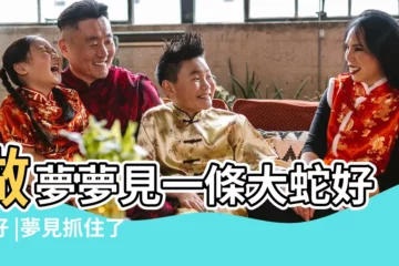 【夢見一條大蛇表示什麼周公解夢】做夢夢見一條大蛇好不好 |夢見抓住了一條大蛇是什麼意思 |