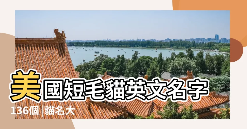 美國短毛貓英文名字136個 |貓名大搜查 |幫貓取名好睏擾 |【小貓美國名字大全圖片大全】
