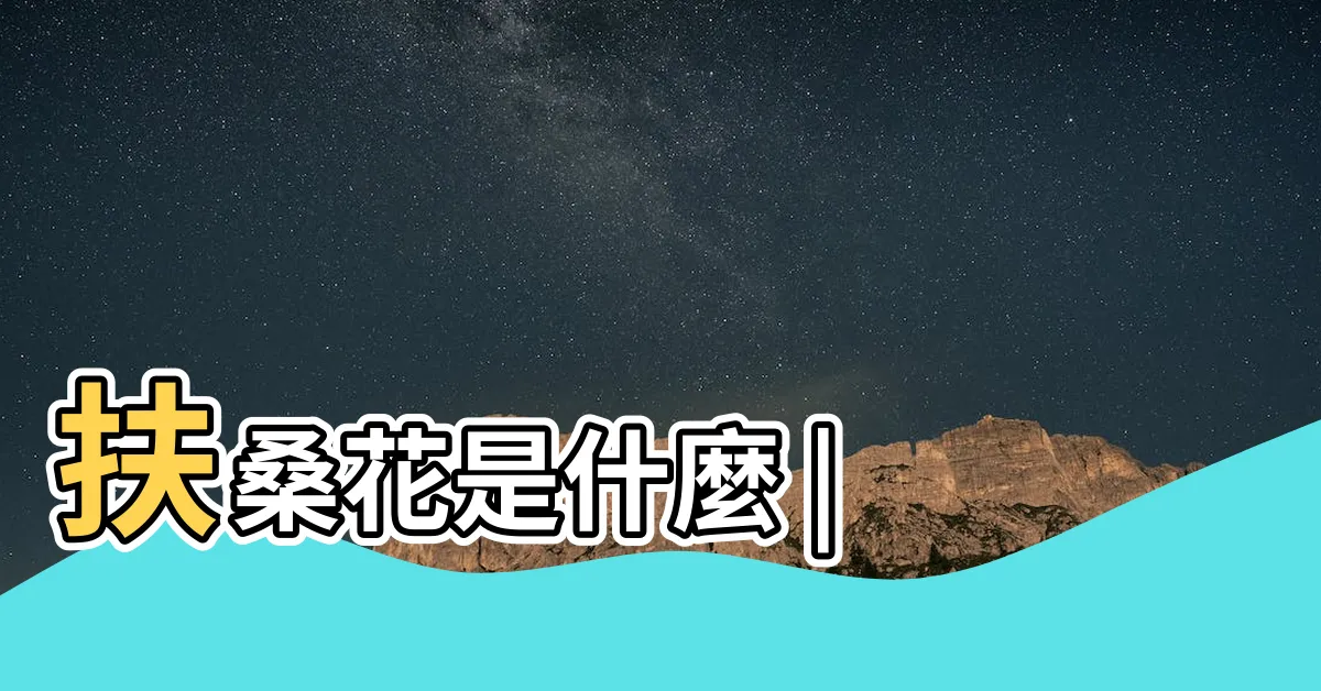 【桑扶花】扶桑花是什麼 |