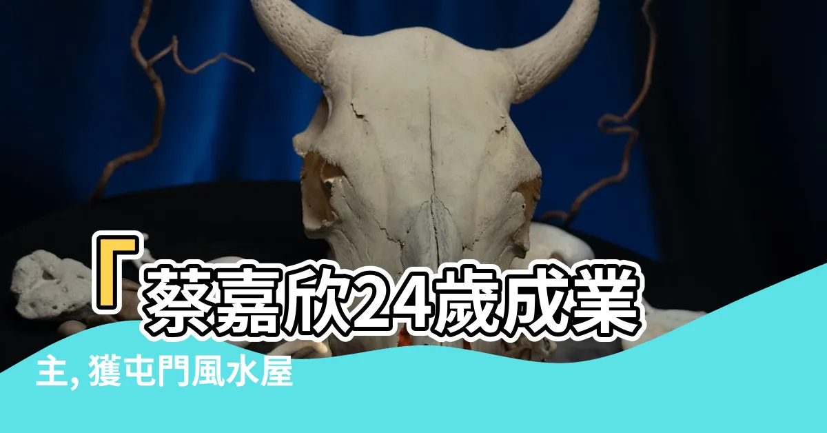 【屯門風水】「蔡嘉欣24歲成業主, 獲屯門風水屋點讚90分！」