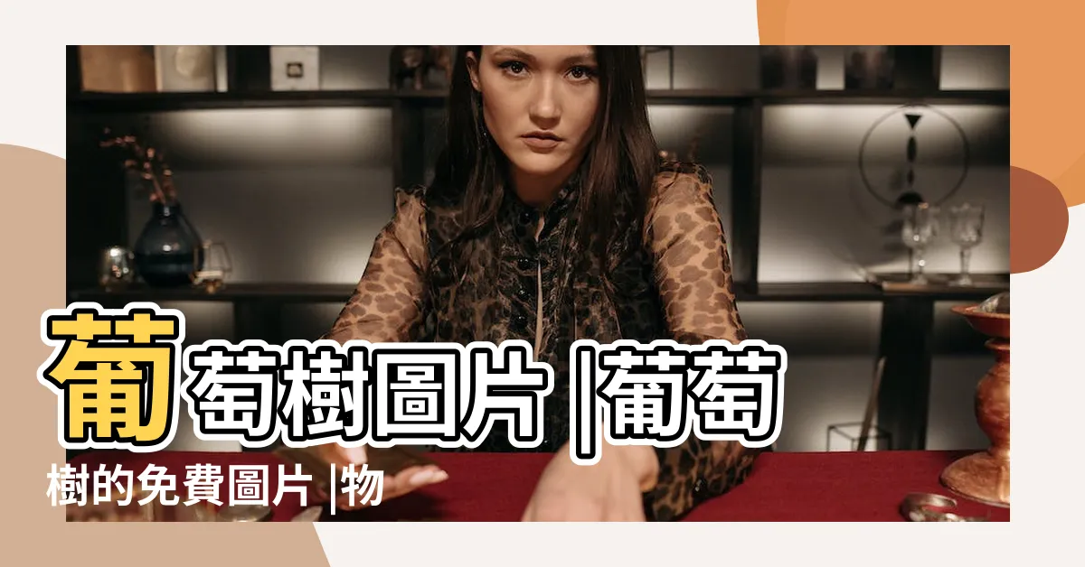 【葡萄樹圖畫】葡萄樹圖片 |葡萄樹的免費圖片 |物體和矢量圖 |