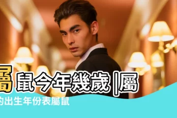 【屬鼠的上那年生】屬鼠今年幾歲 |屬鼠的出生年份表屬鼠是哪年出生的 |屬鼠性格特質 |