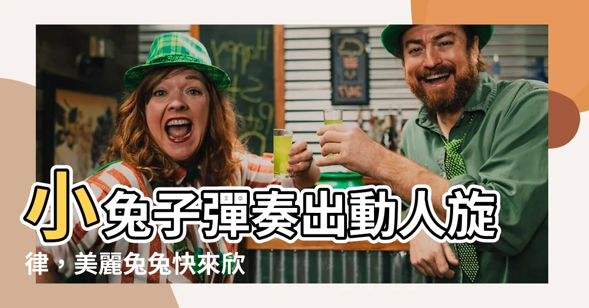 【美麗兔兔子】小兔子彈奏出動人旋律，美麗兔兔快來欣賞！