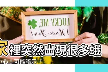【家裡突然出現很多蛾】家裡突然出現很多蛾？小心！可能暗示「這兩件事」即將發生