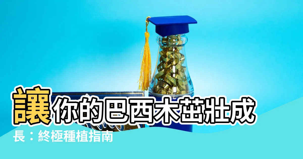【巴西木種植】讓你的巴西木茁壯成長：終極種植指南