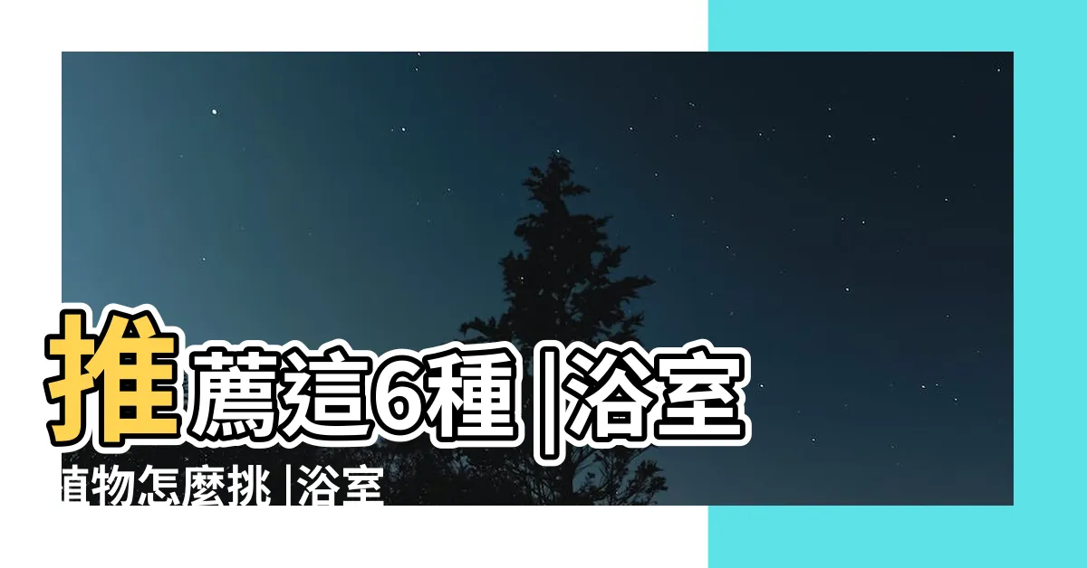 【廁所耐陰植物】推薦這6種 |浴室植物怎麼挑 |浴室植物 |