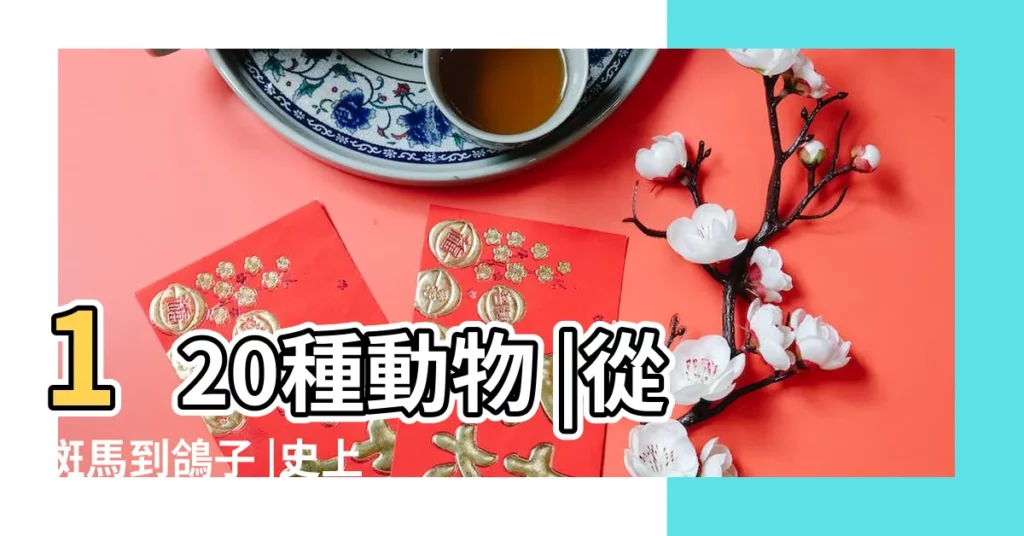 120種動物 |從斑馬到鴿子 |史上超全動物英文名稱彙總及配圖 |【所有的動物名稱英文名字】