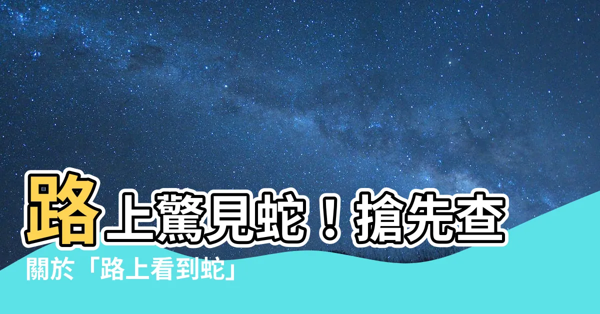 【路上看到蛇】路上驚見蛇！搶先查關於「路上看到蛇」的奇遇報告!
