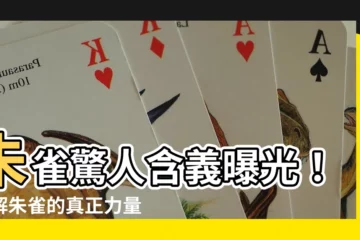 【朱雀含義】朱雀驚人含義曝光！瞭解朱雀的真正力量