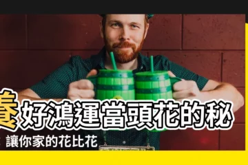 【鴻運當頭的花】養好鴻運當頭花的秘訣：讓你家的花比花店更旺盛！