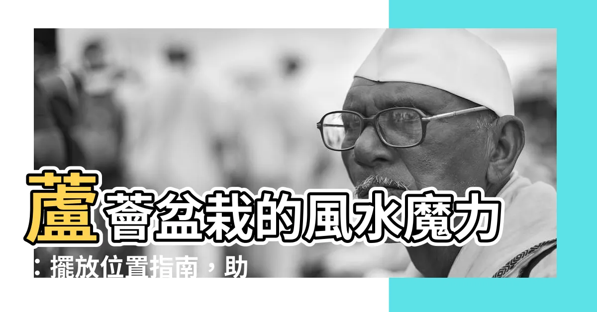 【蘆薈盆栽風水】蘆薈盆栽的風水魔力：擺放位置指南，助你財運亨通！
