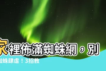【家裡很多蜘蛛網】家裡佈滿蜘蛛網，別讓蜘蛛肆虐！3招教你輕鬆清光光