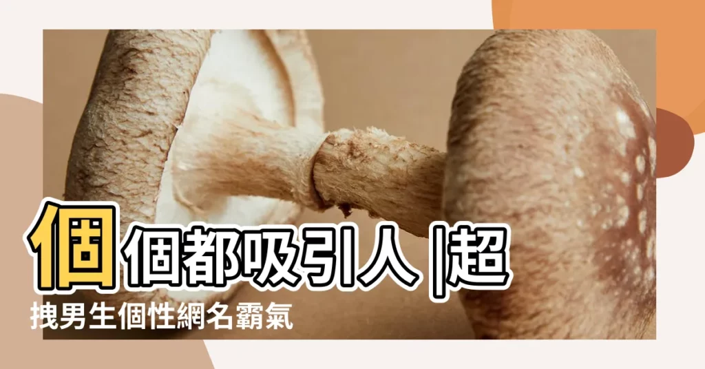 個個都吸引人 |超拽男生個性網名霸氣冷酷 |男生霸氣網名超拽冷酷有趣的暱稱 |【男生超拽暱稱】