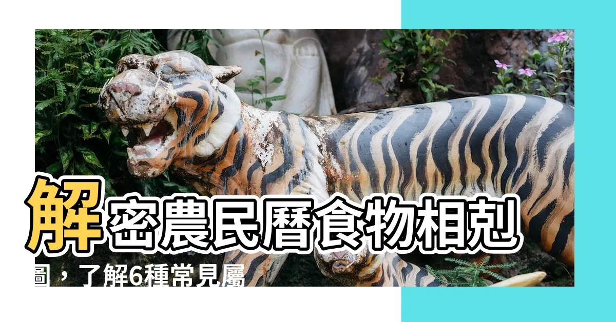 【相剋圖】解密農民曆食物相剋圖，瞭解6種常見屬性相剋關係