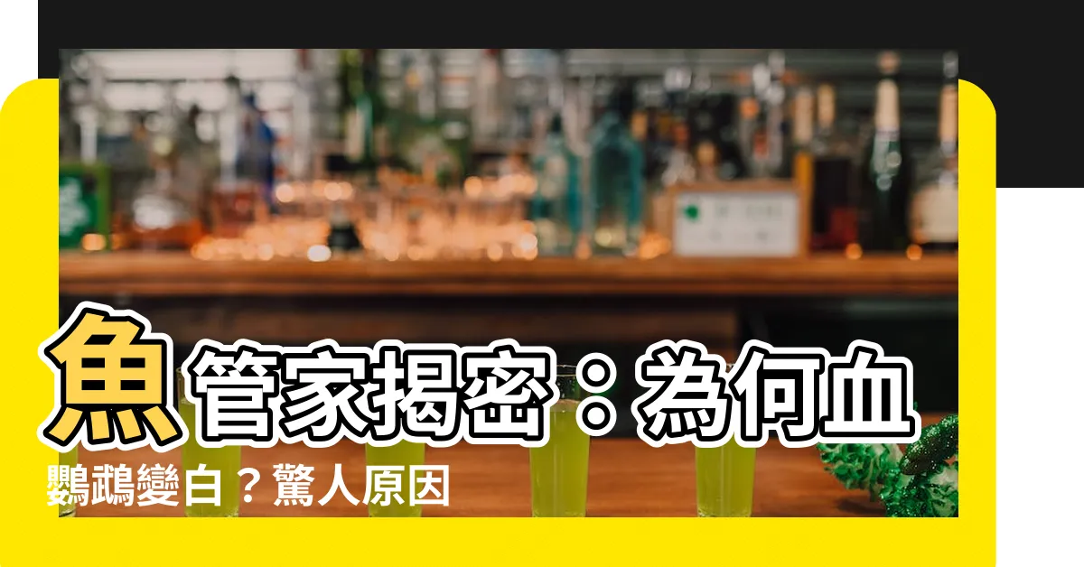 【血鸚鵡變白】魚管家揭密：為何血鸚鵡變白？驚人原因曝光！