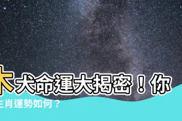 【木狗是什麼】木犬命運大揭密！你的生肖運勢如何？