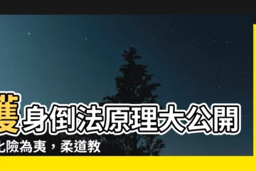 【護身倒法原理】護身倒法原理大公開！化險為夷，柔道教你避免受傷
