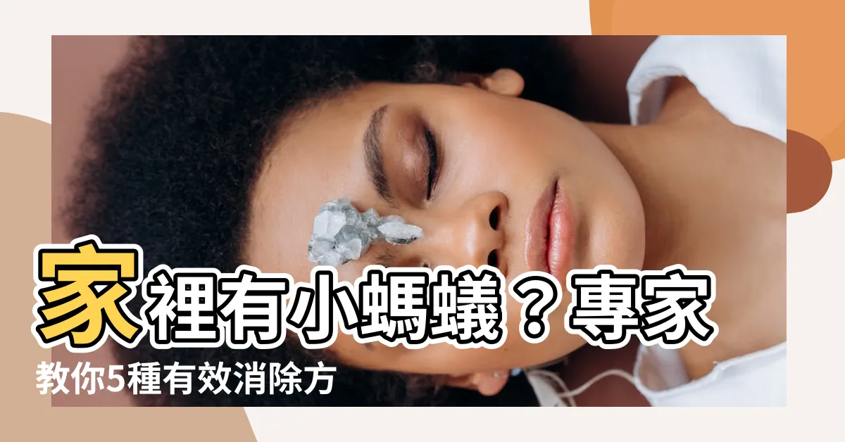 【家裡有小螞蟻】家裡有小螞蟻？專家教你5種有效消除方法！