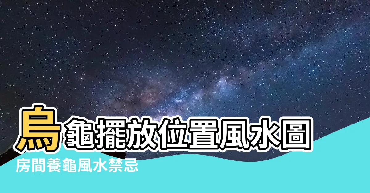 【養龜風水】烏龜擺放位置風水圖房間養龜風水禁忌 |風水講究 |家中養烏龜最招財 |