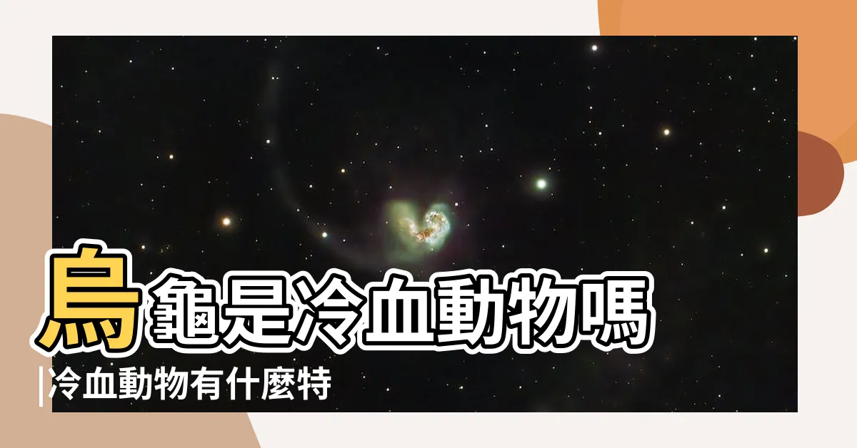 【烏龜是冷血動物嗎】烏龜是冷血動物嗎 |冷血動物有什麼特徵 |冷血動物 |