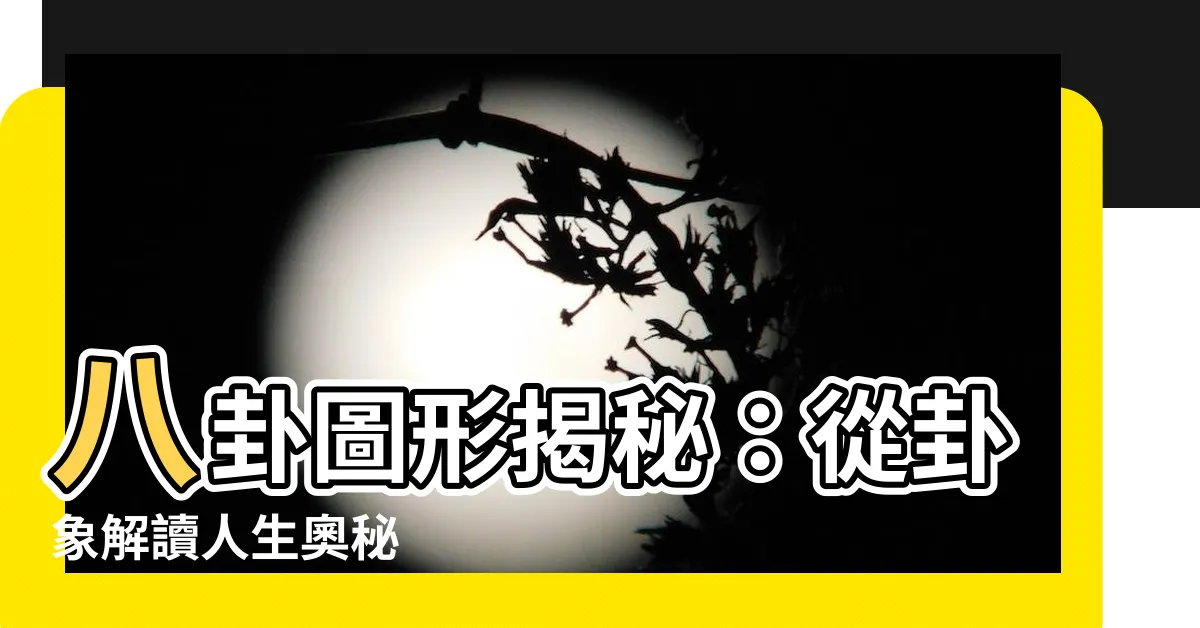 【八卦 卦象】八卦圖形揭秘：從卦象解讀人生奧秘