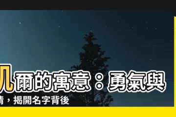 【kyle寓意】凱爾的寓意：勇氣與熱情，揭開名字背後的力量