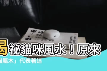 【貓屬木】揭秘貓咪風水！原來「貓屬木」代表著這些事？