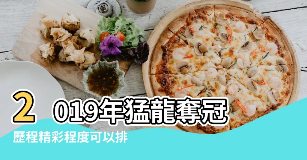 2019年猛龍奪冠歷程精彩程度可以排第 |成長歷程 |龍劭華成長歷程坎坷靠拍戲闖出一片天2019奪視帝 |【2019年龍的歷程】
