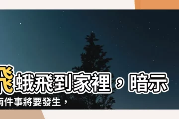 【飛蛾飛到家裡】飛蛾飛到家裡，暗示這兩件事將要發生，小心為上！