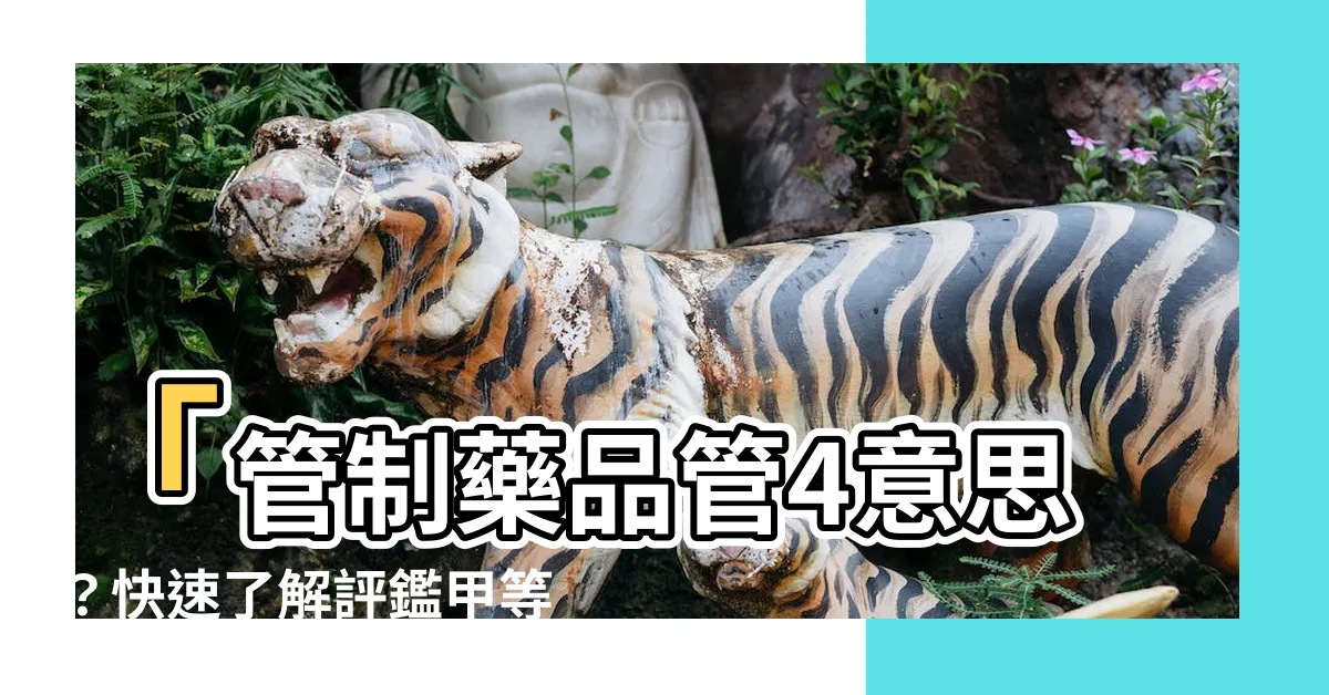【管4意思】「管制藥品管4意思？快速瞭解評鑑甲等與常見用藥Q&A」