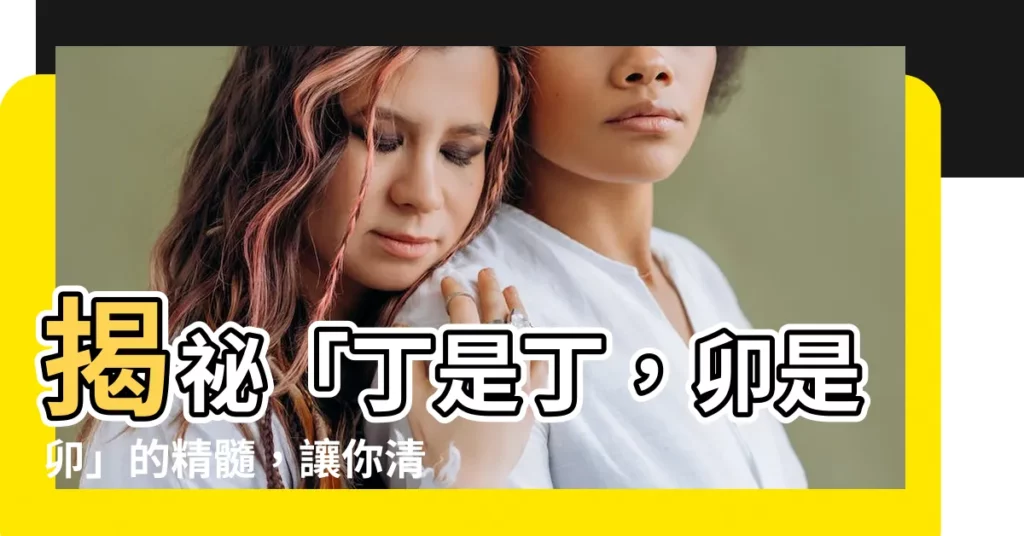 【丁是丁 卯是卯】揭秘「丁是丁，卯是卯」的精髓，讓你清楚明白事物本質！