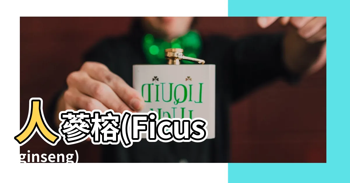 【ficus ginseng 中文】人蔘榕(Ficus ginseng)中文版：居家照護全攻略！
