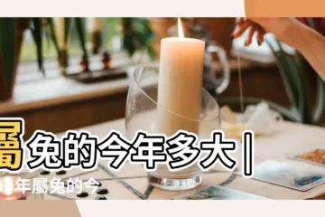 【屬兔的今年多大了1999】屬兔的今年多大 |1999年屬兔的今年多大2023年98虎多大 |1999年屬兔的今年多大2022 |