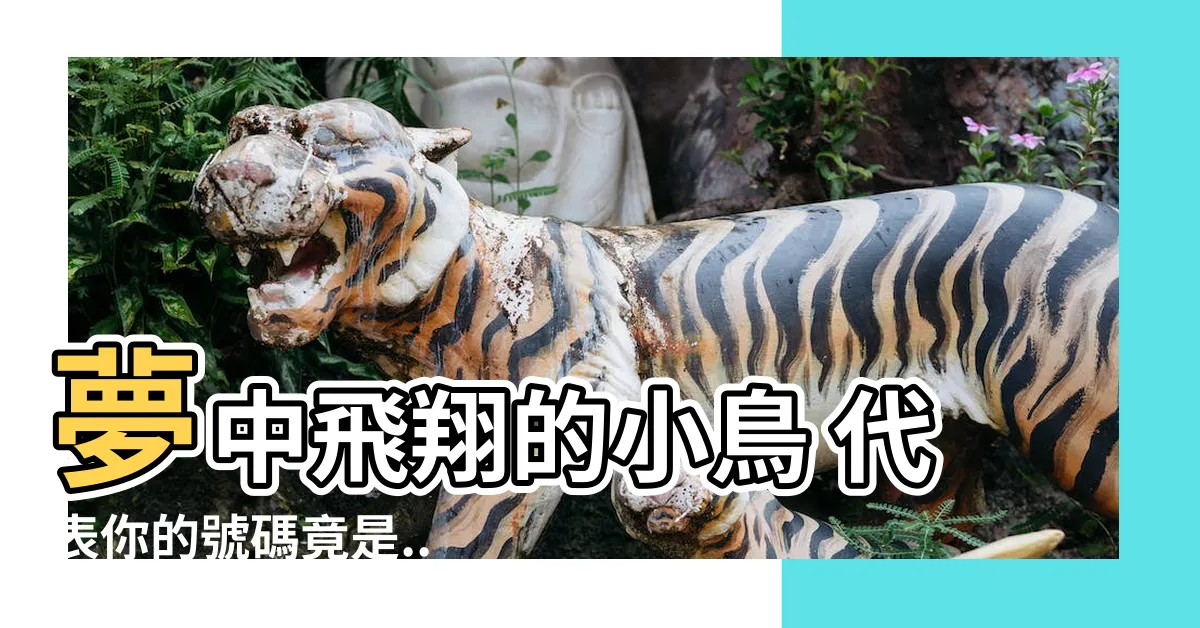 【小鳥代表幾號】夢中飛翔的小鳥 代表你的號碼竟是...？