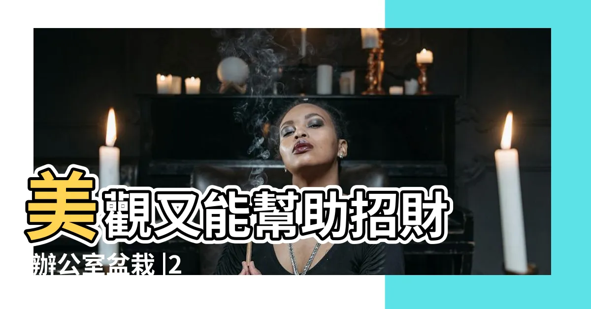 【適合放辦公室的植物】美觀又能幫助招財 |辦公室盆栽 |2024 |