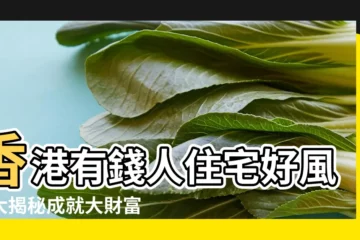 【香港風水房】香港有錢人住宅好風水大揭秘成就大財富夢想 |家居風水 |2024至2043年邊區 |