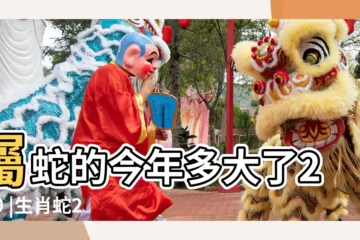 【1977年的蛇2019年多大】屬蛇的今年多大了2019 |生肖蛇2019年年齡 |屬蛇的今年多大了2019 |