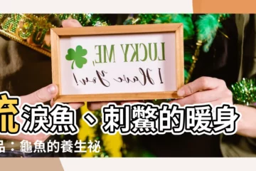 【龜魚】流淚魚、刺鱉的暖身聖品：龜魚的養生秘密大公開！