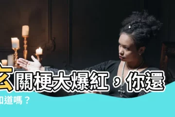 【玄關 梗】玄關梗大爆紅，你還不知道嗎？