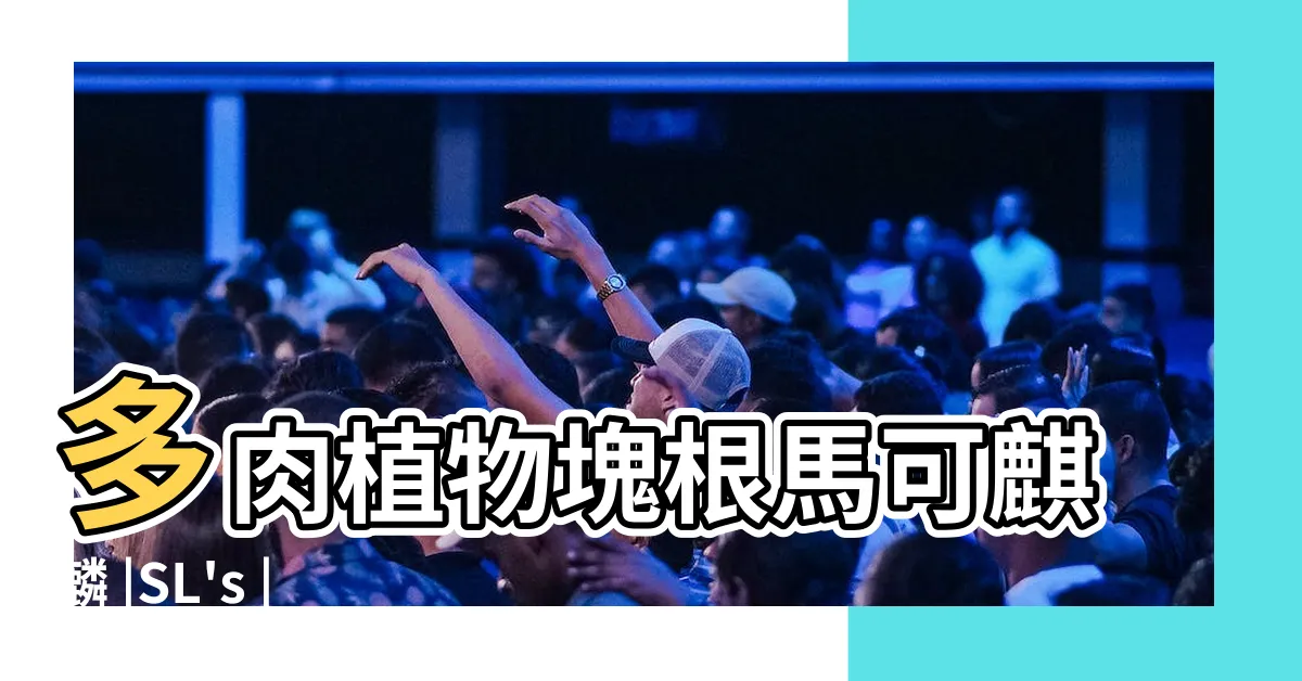 【馬可麒麟】多肉植物塊根馬可麒麟 |SL's |馬可麒麟 |
