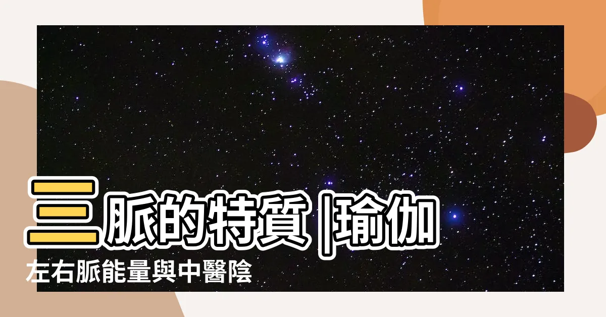 【左右脈】三脈的特質 |瑜伽左右脈能量與中醫陰陽的契合 |及如何調理 |